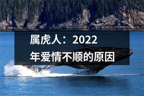 属虎人:2023年爱情不顺的原因