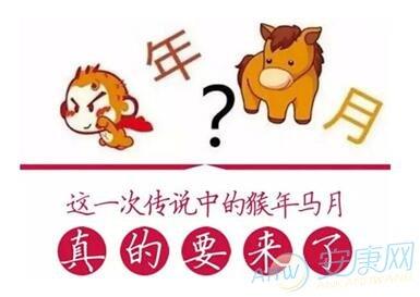 猴年马月是哪一年对于猴年马月你知多少