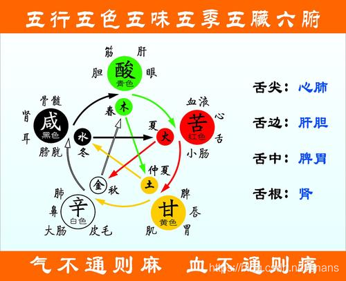 五行相生相克基础篇