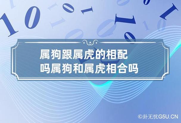 属狗跟属虎的相配吗 属狗和属虎相合吗