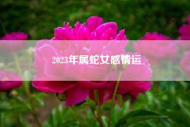 2023年属蛇女感情运