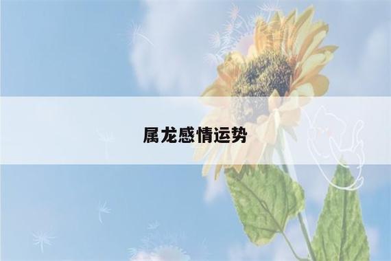 属龙感情运势