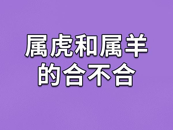 属虎和属羊的人是相合的,他们的性格各有不同,但是又能互相弥补对方.