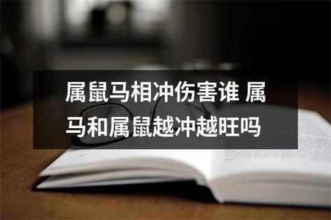 属鼠马互相伤害某人生肖相克表示现实生活中彼此脾气不合,性格不合