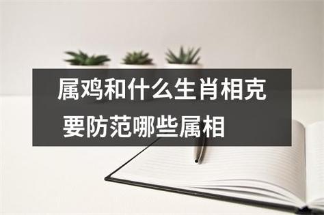 属鸡和什么生肖相克要防范哪些属相