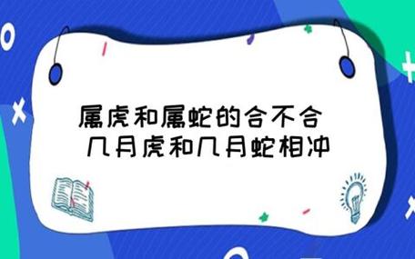 性格不同的两个生肖,一起合不合