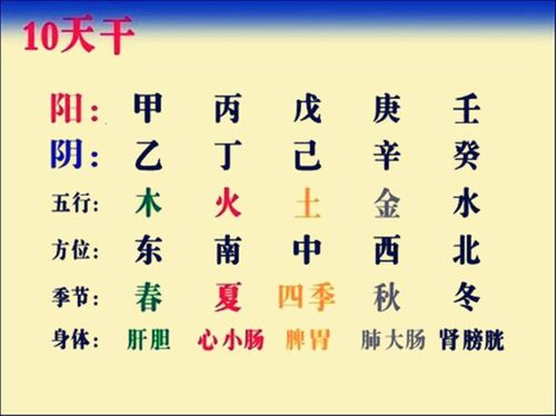 八字入门:天干的阴阳属性以及生克关系|地支|丁火|乙木|庚辛_网易订阅