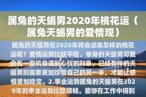 属兔的天蝎男2023年桃花运(属兔天蝎男的爱情观)