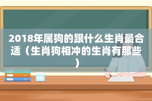 2023年属狗的跟什么生肖最合适(生肖狗相冲的生肖有那些)