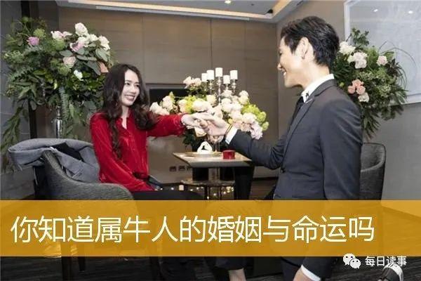 生肖牛,你知道属牛人的婚姻与命运吗