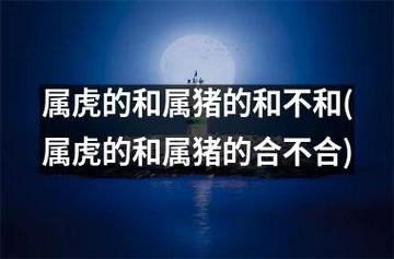 属虎的和属猪的合不合属虎的和属猪的和不和生肖属相是中华传统文化的