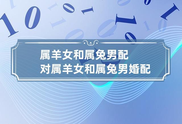 属羊女和属兔男的婚姻状况,每对夫妻都会希望自己的婚姻状况是幸福