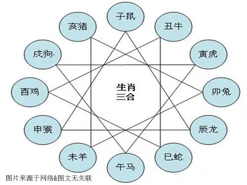 世间万物皆有五行,没有事物都存在相生相克的关系,在十二生肖文化中