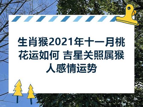 生肖猴2023年十一月桃花运如何 吉星关照属猴人感情运势 - 翼许愿