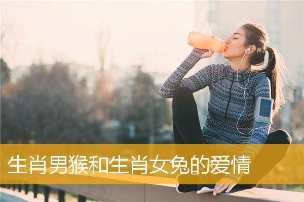 生肖男猴和生肖女兔的爱情,生肖男羊和生肖女兔爱情指数_属猴_华人