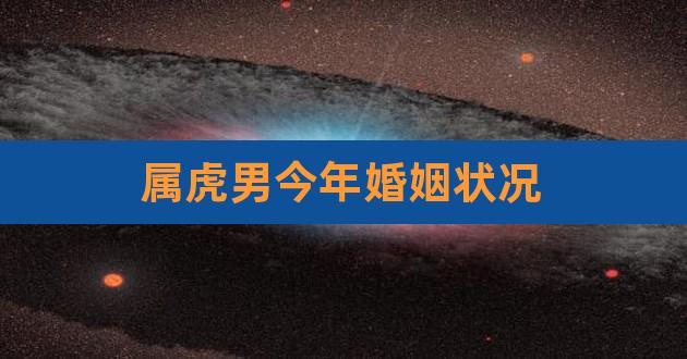 属虎男今年婚姻状况,今年属虎的人爱情会怎么样