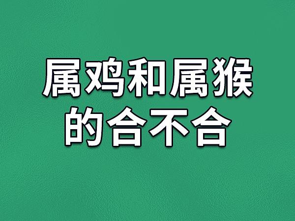 1,性格属猴人生性好动,开朗活泼,能说会道,幽默风趣,他们头脑聪慧