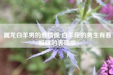 属龙白羊男的爱情观 白羊座的男生有着极强的表现欲 - 哎呦星座网