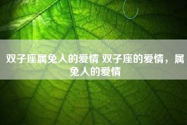 双子座属兔人的爱情 双子座的爱情,属兔人的爱情