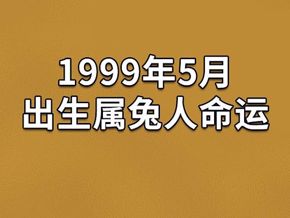 1999年5月出生属兔人命运(农历,爱情,事业运势解析)_吉星堂