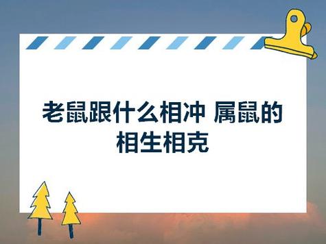 老鼠跟什么相冲 属鼠的相生相克 - 翼许愿