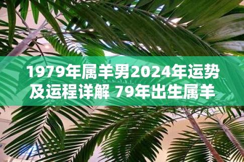 1979年属羊男2024年运势及运程详解 79年出生属羊人2024全年每月运势