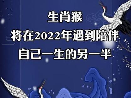 2023年遇到陪伴自己一生的另一半#生肖猴 #十二生肖 #生肖猴的爱情