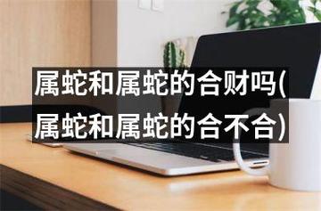 属蛇和属蛇的合财吗(属蛇和属蛇的合不合)