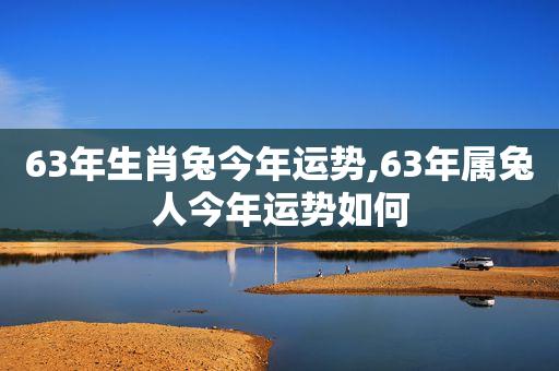 63年生肖兔今年运势,63年属兔人今年运势如何