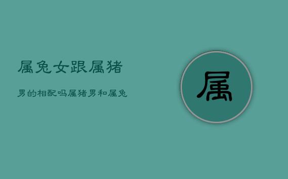 则在感情中相互理解包容感情才会更好,猪所代表的五行主水,兔代表了木