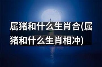 属猪和什么生肖更配属猪和什么生肖合从传统的属相明卦推算来看,每个