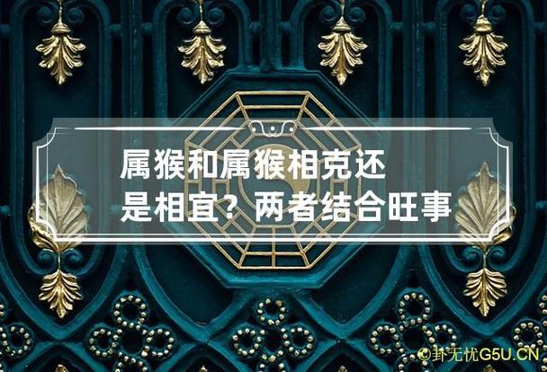 属猴和属猴相克还是相宜?两者结合旺事业财运