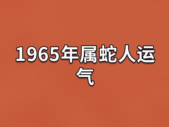 1965年属蛇人运气