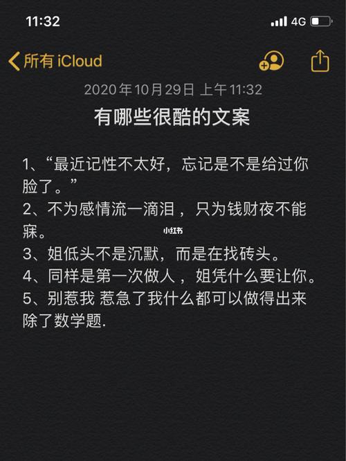 有哪些很酷的文案(外加搞笑)_朋友圈文案_素材_文字素材