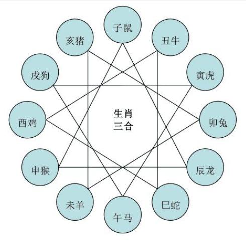 12生肖十二生肖相生相克图表