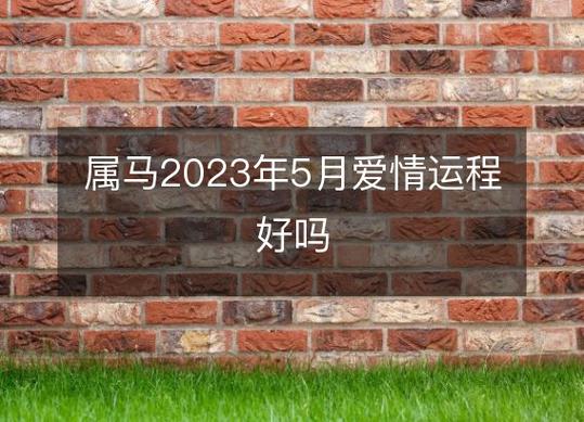 属马2023年5月爱情运程好吗