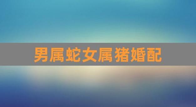 与属鸡的在一起对方肯为你花心思而生肖蛇的你有时很需要爱情的奉承