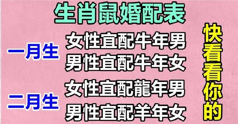 生肖鼠跟哪个生肖最般配?属鼠的婚配表,告诉你答案.