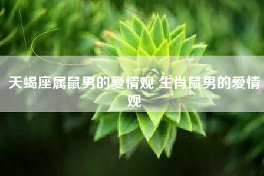 天蝎座属鼠男的爱情观 生肖鼠男的爱情观