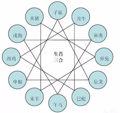 孩子谈了个对象,属相不和.大人反对,合适吗