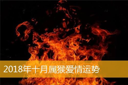 2023年十月属猴爱情运势