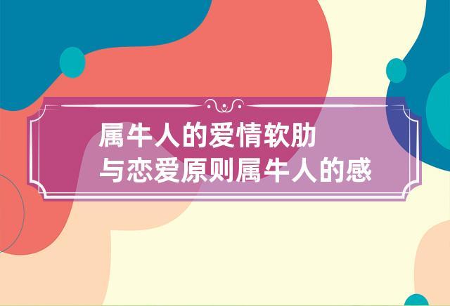 属牛人的爱情软肋与恋爱原则 属牛人的感情