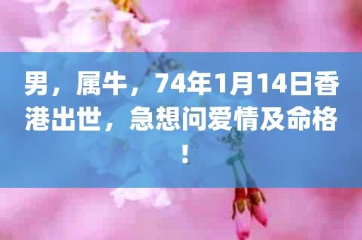 男属牛74年1月14日香港出世急想问爱情及命格