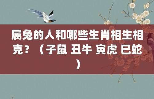 属兔的人和哪些生肖相生相克?(子鼠 丑牛 寅虎 巳蛇)