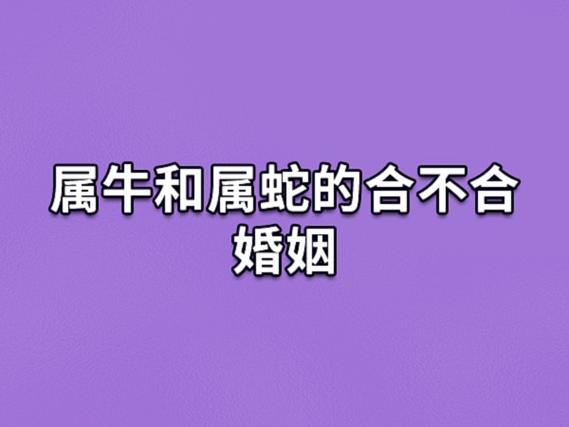 属牛和属蛇的合不合婚姻:适合结婚(三合属相)_吉星堂