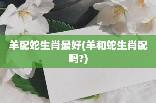 属羊人和属蛇人适合结婚吗