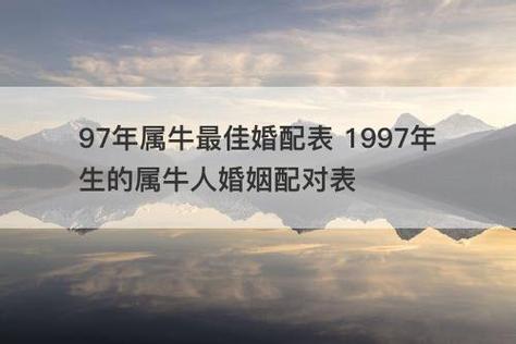 97年属牛最佳婚配表 1997年生的属牛人婚姻配对表_增缘分网