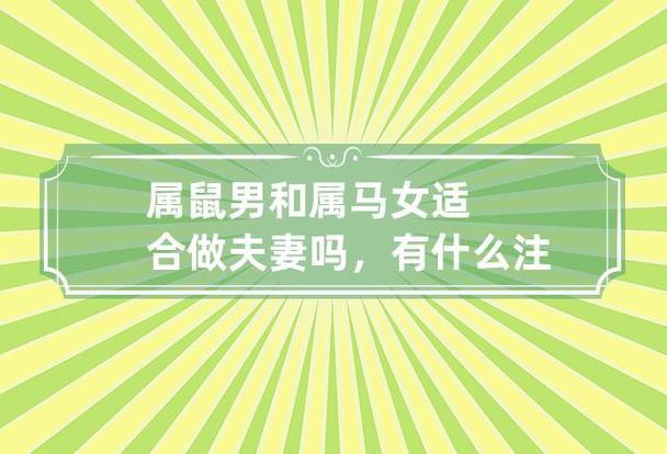 属鼠和马相配婚姻如何 属猪人与属马人爱情配对