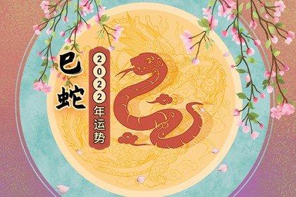 属蛇人2023年运势运程大师详解版