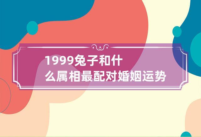 1999兔子和什么属相最配对 婚姻运势怎么样